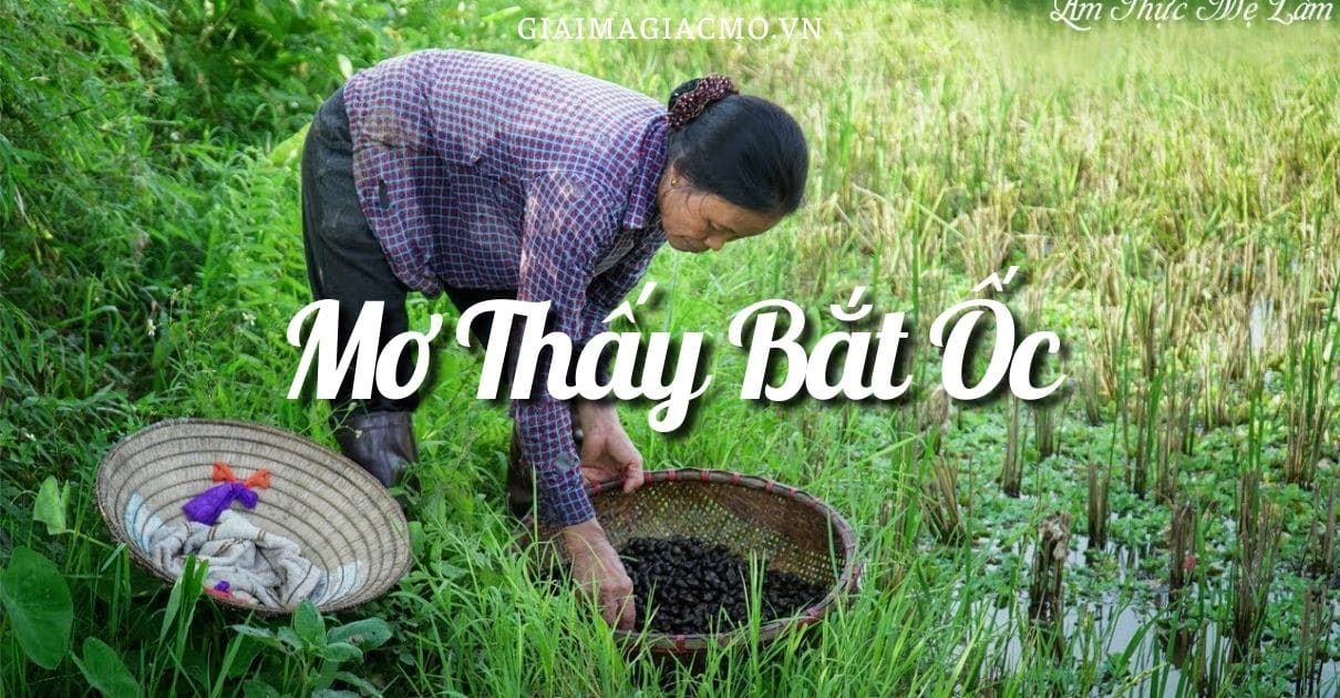 Mo Thay Bat Oc