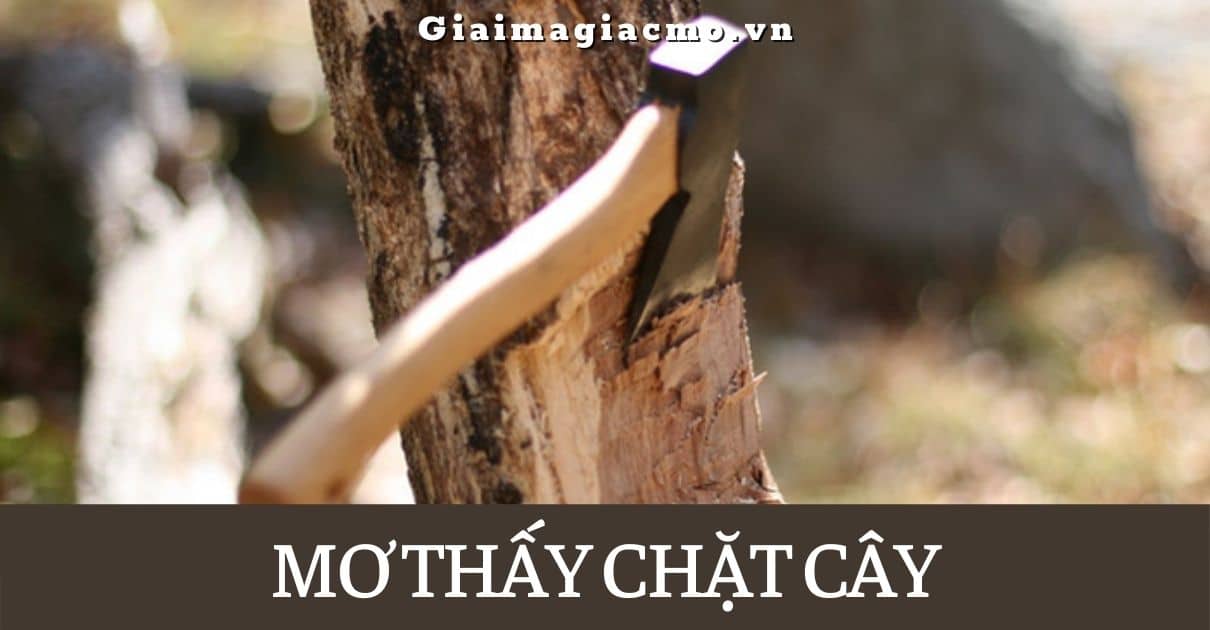 Mo Thay Chat Cay