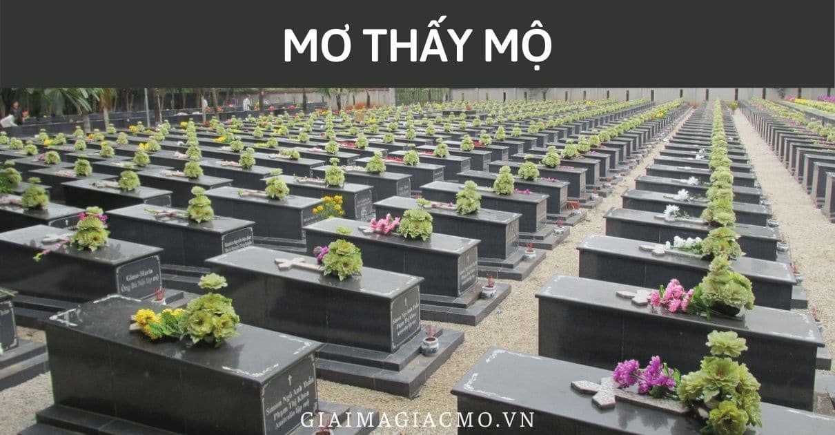 Mo Thay Mo