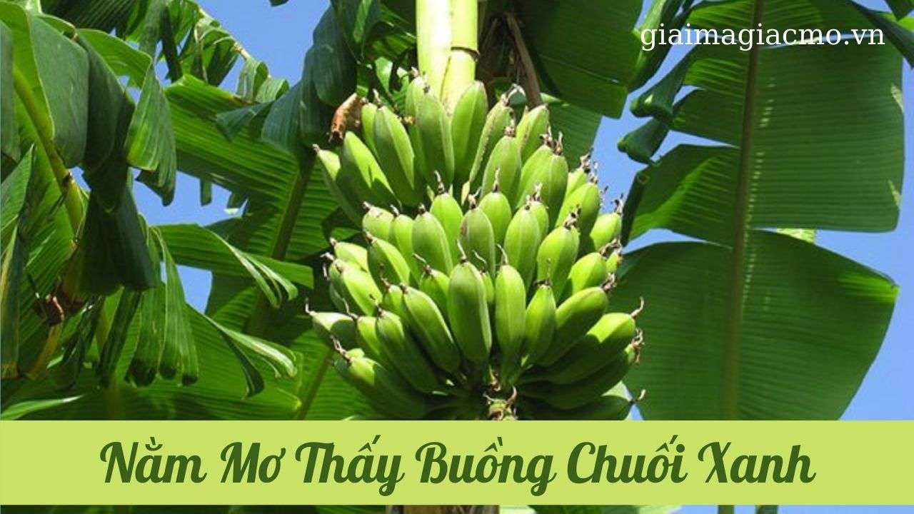 Nam Mo Thay Buong Chuoi Xanh