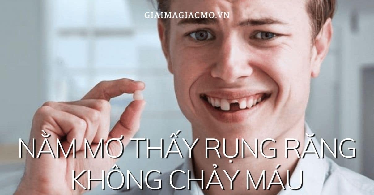 Nam Mo Thay Rung Rang Khong Chay Mau