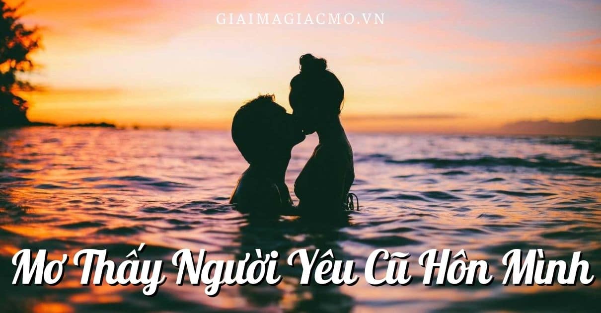 Mo Thay Nguoi Yeu Cu Hon Minh