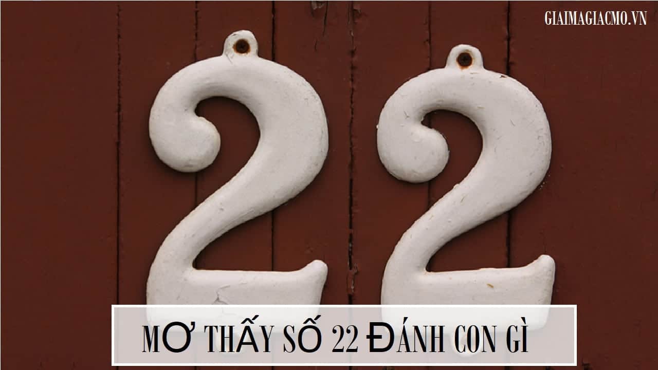 Mơ Thấy Số 25 Đánh Con Gì ❤ Giải Mã Ý Nghĩa Số 25