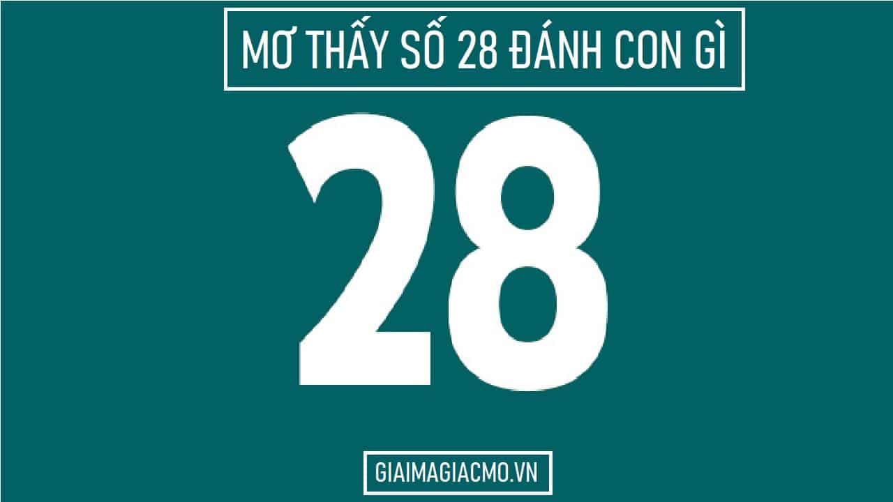 Mo Thay So 28