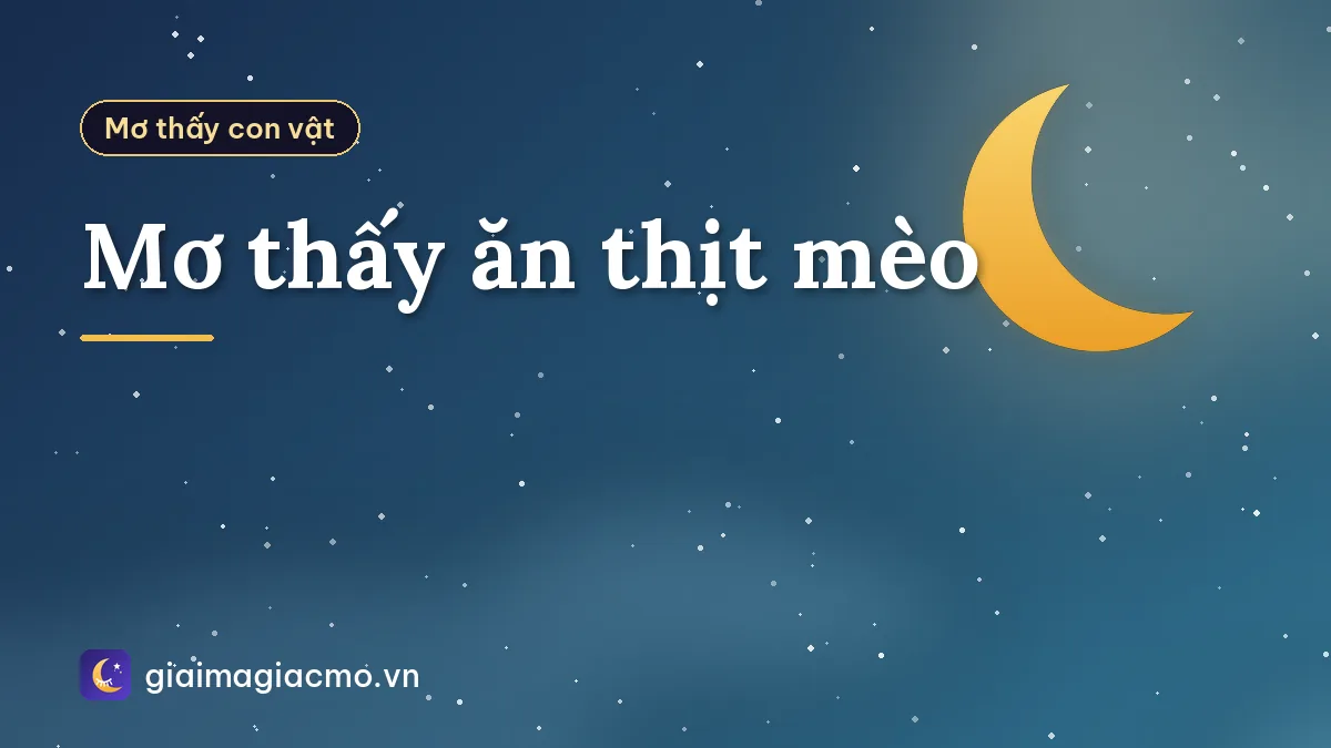 Mơ thấy ăn thịt mèo