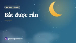 Minh hoạ giấc mơ bắt được rắn bằng tay không