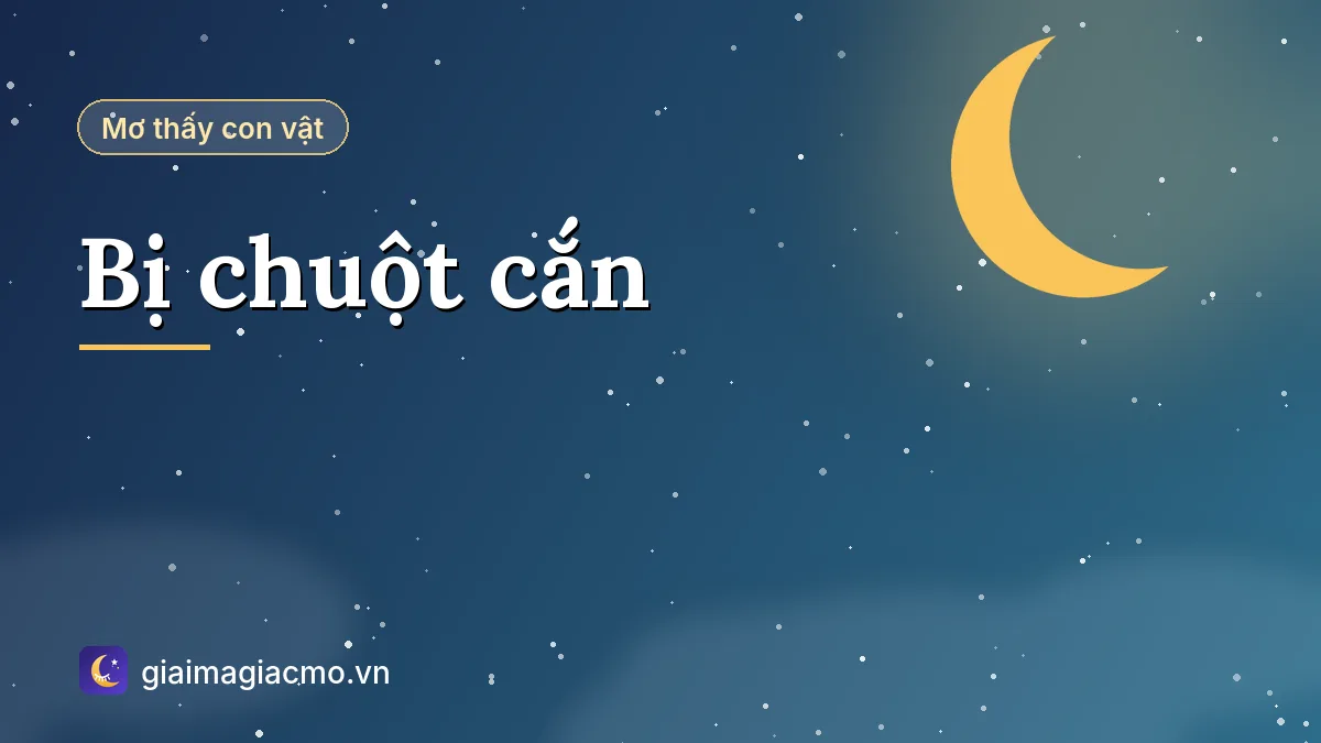 Minh hoạ giải mã giấc mơ và điềm báo khi bị chuột cắn