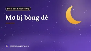 Mơ bị bóng đè