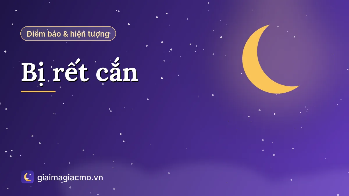 Hướng dẫn sơ cứu, kiêng ăn và ý nghĩa dân gian khi bị rết cắn