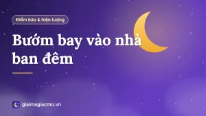 Minh hoạ con bướm đêm màu nâu đậu cạnh bóng đèn trong nhà lúc tối