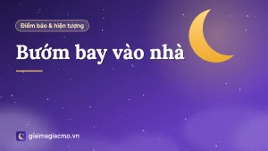 Con bướm bay vào nhà đậu gần cửa sổ, minh hoạ điềm báo bướm bay vào nhà