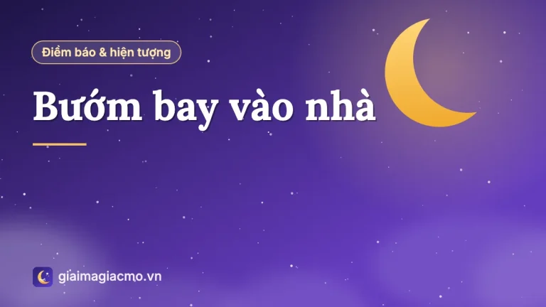 Bướm bay vào nhà là điềm gì, đánh con gì? Giải mã chi tiết