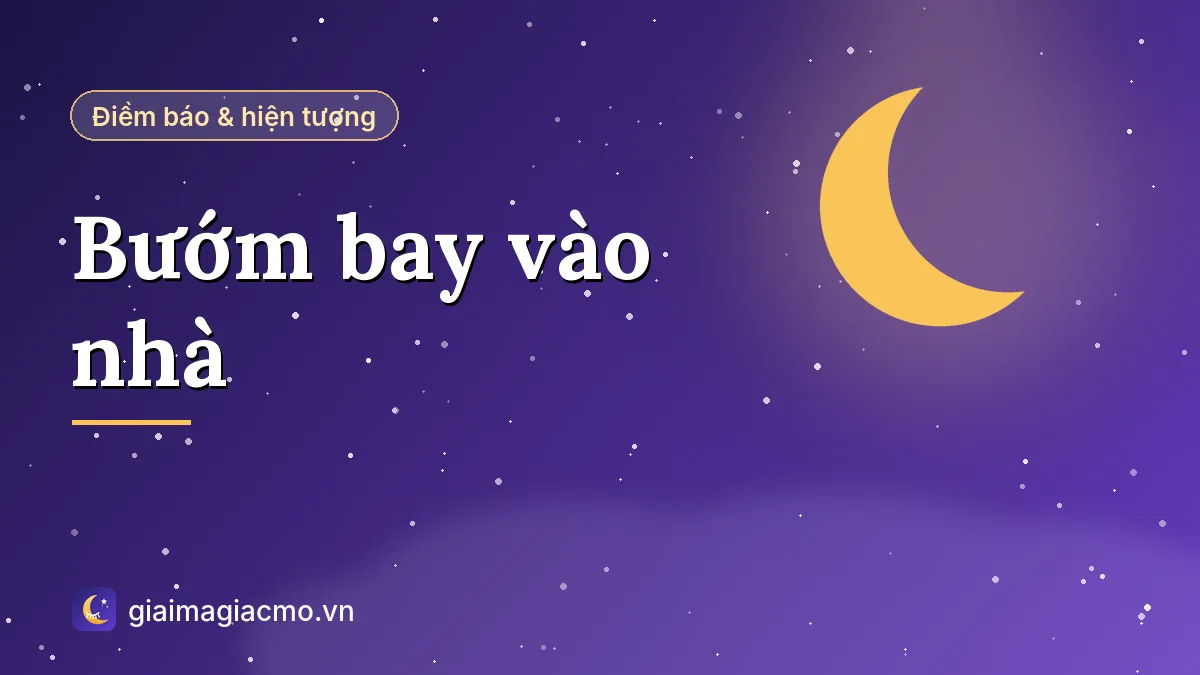 Minh hoạ điềm báo khi bướm bay vào nhà và đậu trên bàn thờ