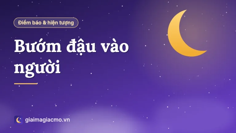 Bướm đậu vào người là điềm gì? Ý nghĩa theo vị trí và màu sắc