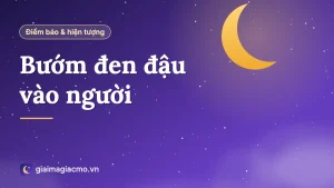 Minh hoạ con bướm đen đậu trên cánh tay người, giải mã điềm báo