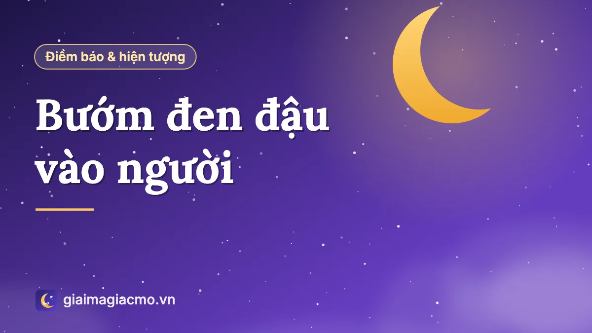 Minh hoạ con bướm đen đậu trên cánh tay người, giải mã điềm báo