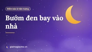Minh hoạ con bướm đen đậu trong nhà gần bàn thờ gia tiên theo quan niệm dân gian