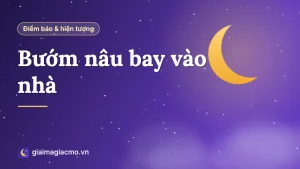 Minh hoạ con bướm nâu đậu trên khung cửa sổ trong nhà