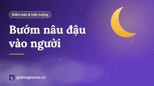 Minh hoạ con bướm nâu đậu trên mu bàn tay, giải mã điềm báo dân gian