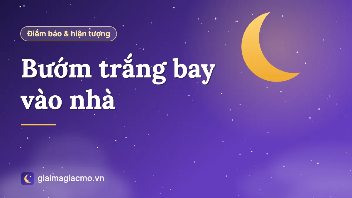 Minh hoạ bướm trắng bay vào nhà và ý nghĩa dân gian