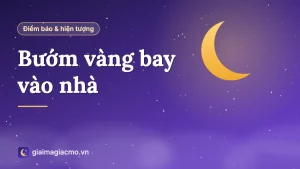 Minh hoạ con bướm vàng bay qua cửa sổ vào phòng khách đầy nắng
