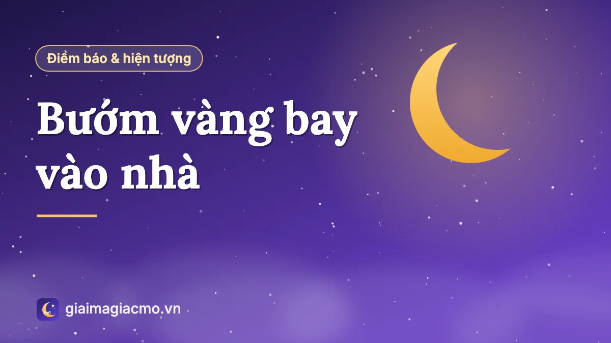 Minh hoạ con bướm vàng bay qua cửa sổ vào phòng khách đầy nắng