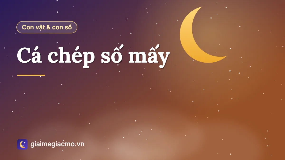 Minh hoạ cá chép vàng bơi trong hồ kèm con số 01 – 41 – 40 theo sổ mơ dân gian