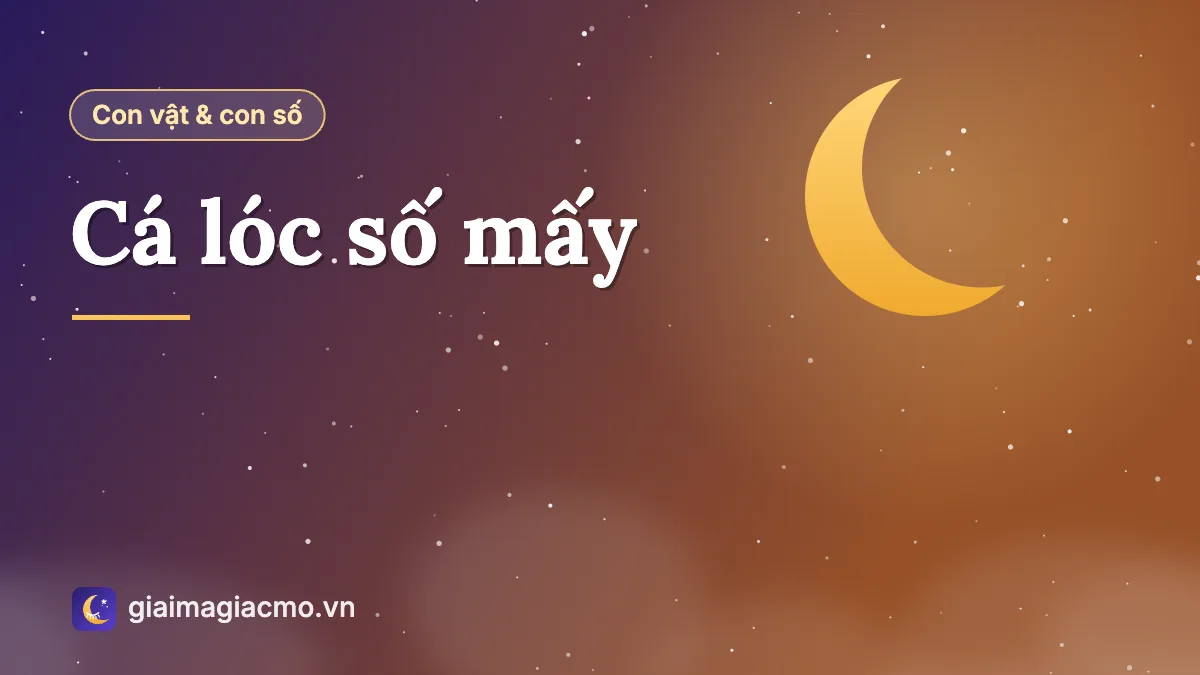 Minh hoạ con cá lóc (cá quả, cá chuối) và cặp số 30 – 70 theo sổ mơ