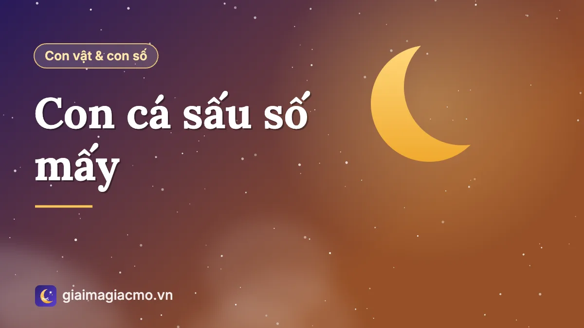 Minh hoạ con cá sấu và các con số theo sổ mơ dân gian