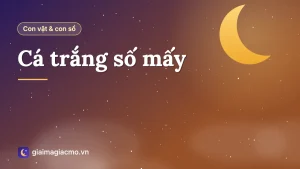 Đàn cá trắng vảy bạc bơi trong ao, con vật số 01 trong bảng 40 con vật