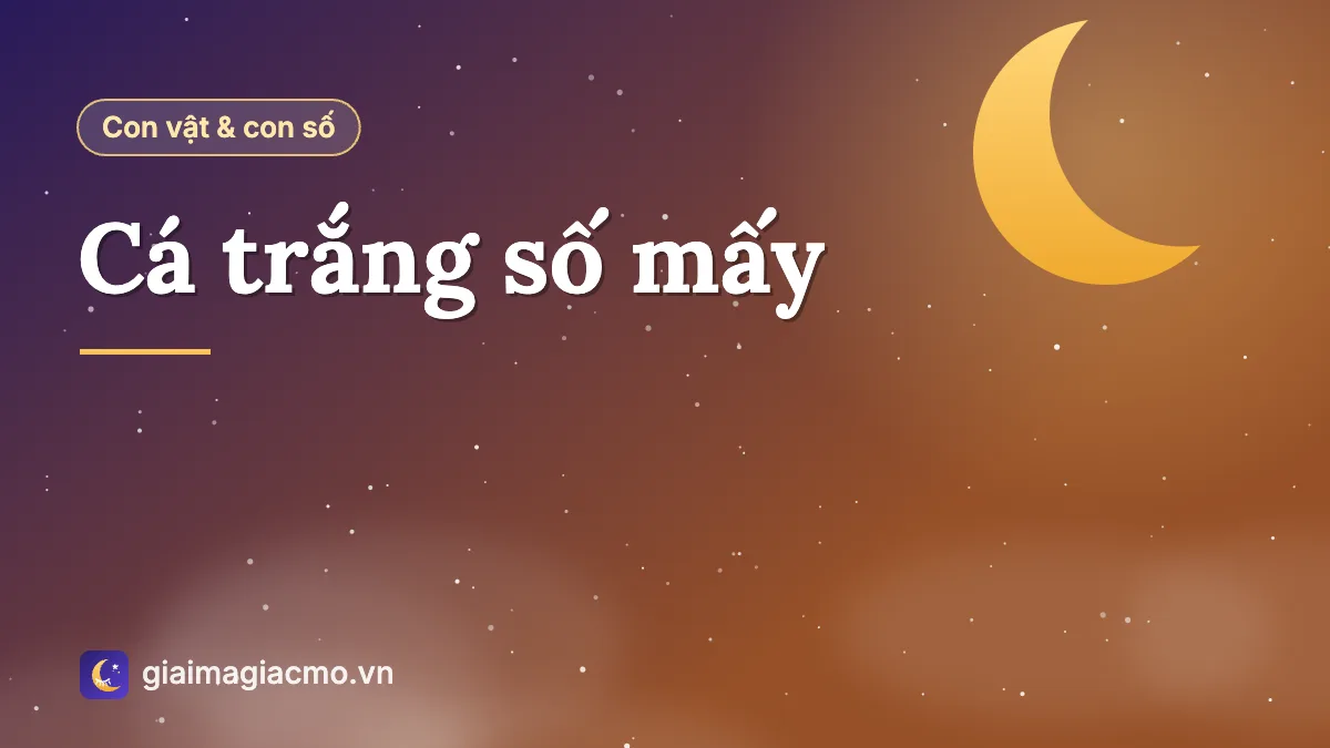 Đàn cá trắng vảy bạc bơi trong ao, con vật số 01 trong bảng 40 con vật
