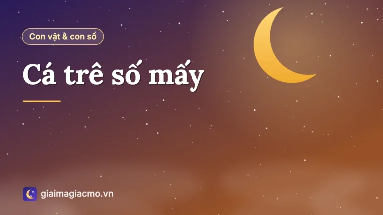 Cá trê số mấy? Ý nghĩa con cá trê trong dân gian và sổ mơ