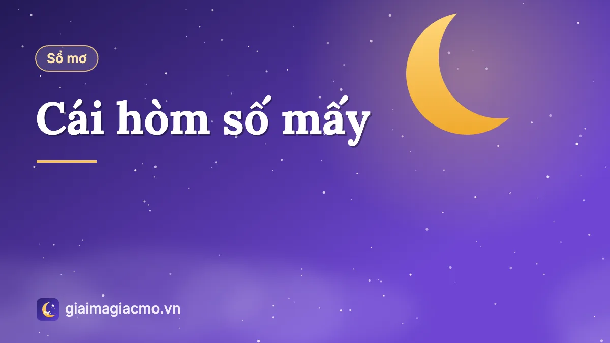 Minh hoạ cái hòm gỗ đặt trong gian nhà yên tĩnh, gợi nghĩa cái hòm trong sổ mơ