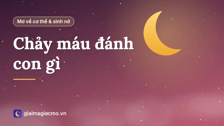 Mơ thấy chảy máu là điềm gì, chảy máu đánh con gì theo sổ mơ?