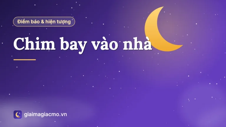 Chim bay vào nhà là điềm gì, đánh con gì? Giải mã chi tiết