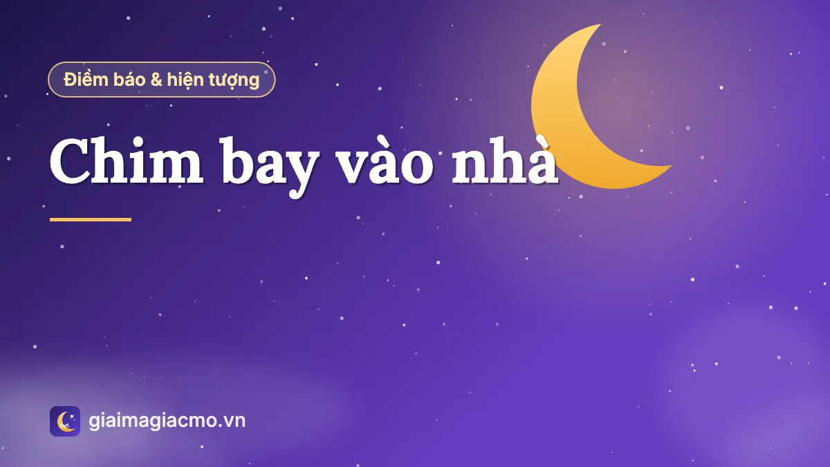 Chú chim sẻ bay vào nhà đậu trên bậu cửa sổ, minh hoạ điềm báo chim bay vào nhà
