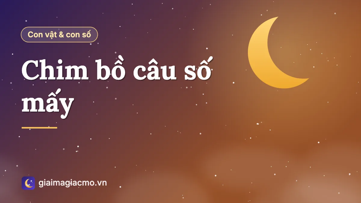 Minh hoạ chim bồ câu và con số theo sổ mơ dân gian