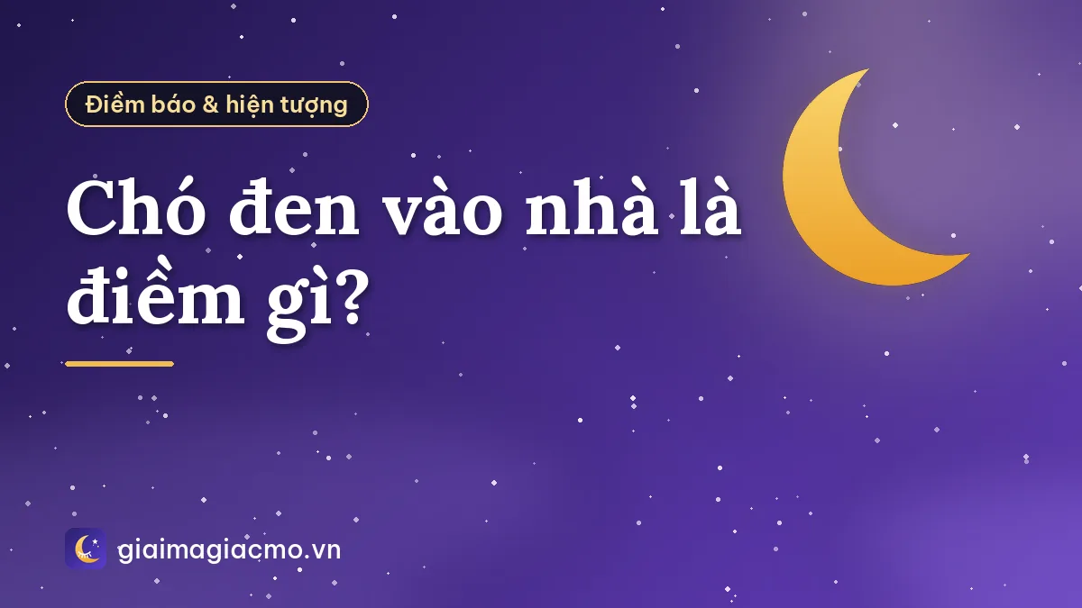 Chó đen vào nhà là điềm gì?