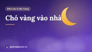 Minh hoạ chú chó vàng đứng trước hiên nhà