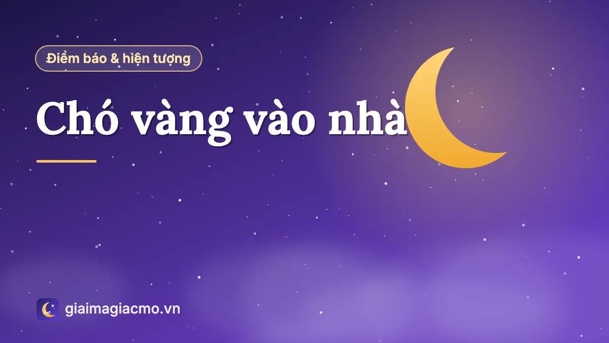 Minh hoạ chú chó vàng đứng trước hiên nhà
