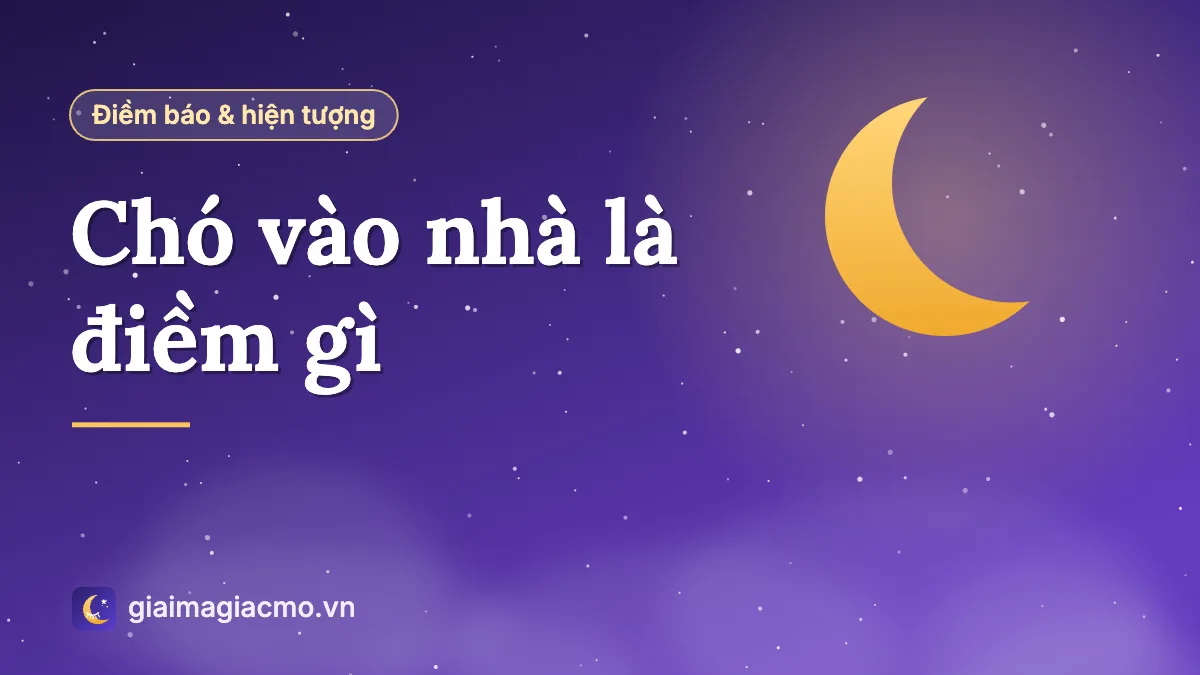 Minh hoạ chú chó lạ đứng trước cửa nhà
