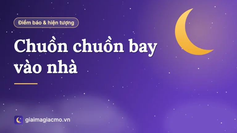 Chuồn chuồn bay vào nhà là điềm gì? Giải mã chi tiết theo dân gian
