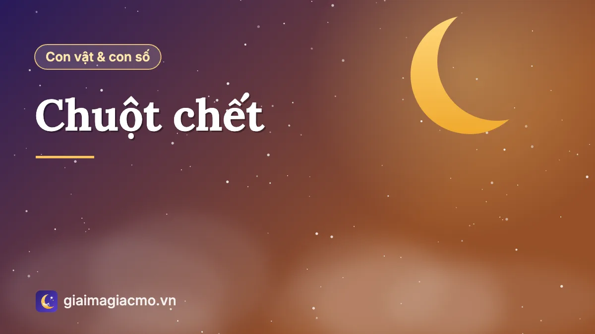 Minh hoạ ý nghĩa dân gian khi thấy chuột chết trong nhà