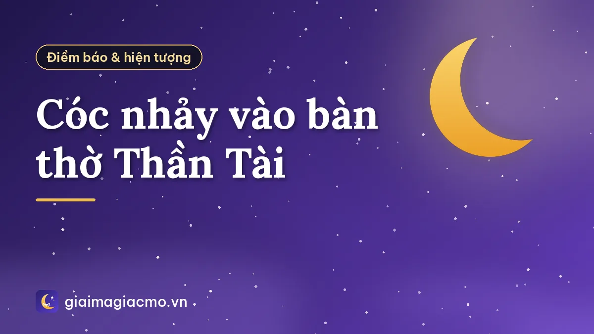 Cóc nhảy vào bàn thờ Thần Tài