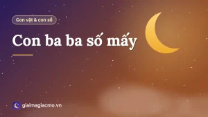 Minh hoạ con ba ba và con số theo sổ mơ dân gian