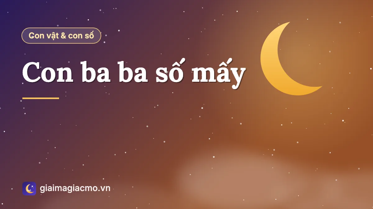 Minh hoạ con ba ba và con số theo sổ mơ dân gian