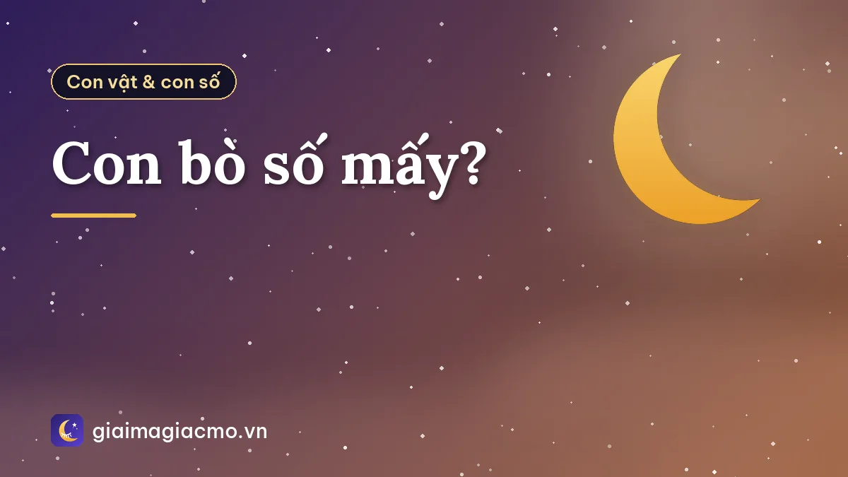 Con bò số mấy?