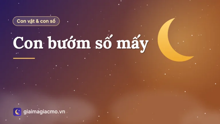 Con bướm số mấy? Ý nghĩa con bướm theo màu sắc và từng tình huống