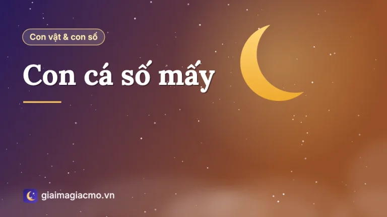 Con cá số mấy? Tra số cá trắng, cá đen, từng loài cá và giấc mơ về cá