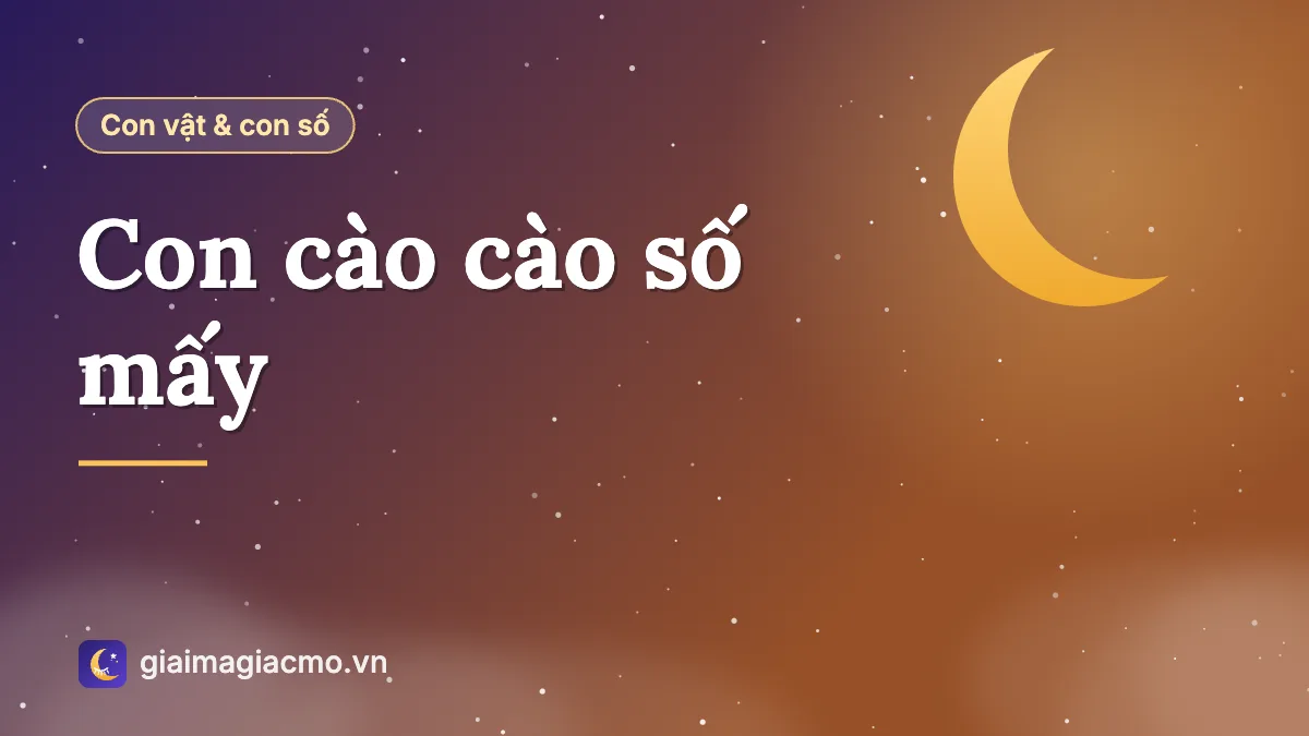 Minh hoạ con cào cào xanh trên ngọn lúa